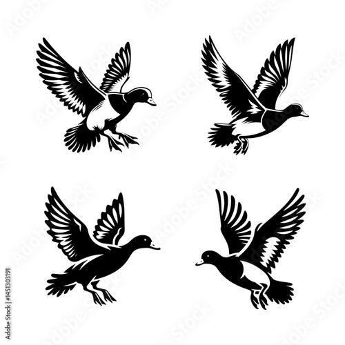 Wigeon Flying Silhouette Vector Set – Detailed Waterfowl in Flight for Wetland, Nature, and Birdwatching Design Projects