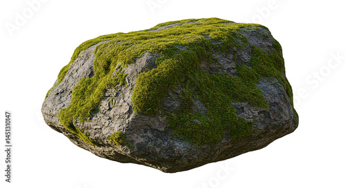 Moss growing on isolated rock against white background