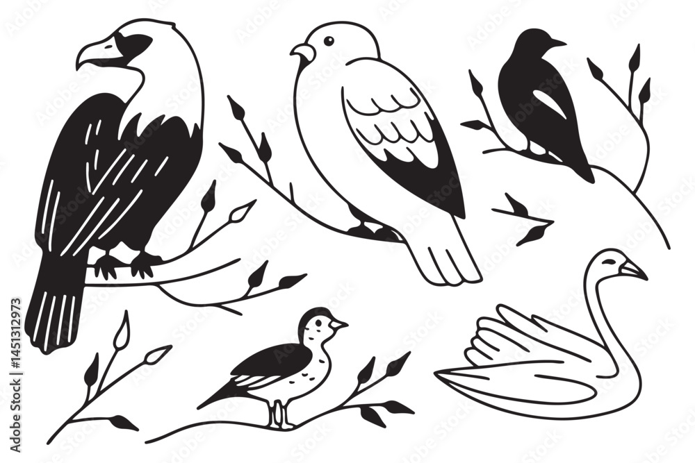 Fototapeta premium Black and White Bird Illustration – Eagle, Dove, Swan, Songbirds, Cartoon Bird Clipart on Branches for Kids, Coloring, and Learning, Nature-Inspired Vector Art – Wildlife Avian Drawing for Education