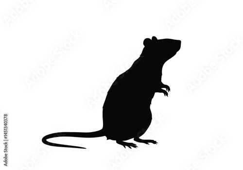 Standing rat silhouette. A black silhouette image of a rat standing on its hind legs with prominent whiskers and tail, representing a rodent in a poised posture.  clipart illustration design.