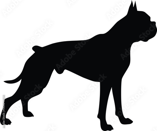Boxer Dog silhouette illsutration 