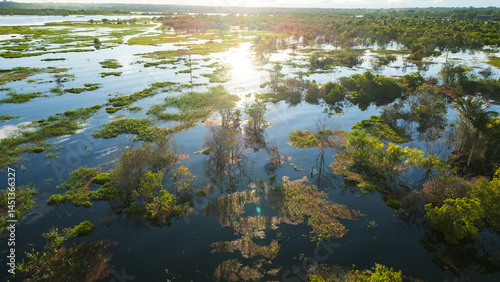 View of flooded forests or igapos of black waters of the Nanay River and vegetation such as trees and bushes sticking out of the water, near the city of Iquitos, where flooding is common photo