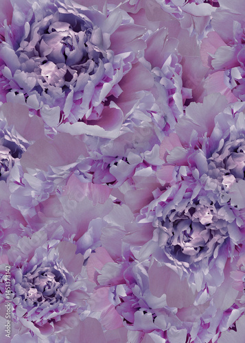 Wallpaper Mural Seamless floral  background. Flowers peonies and petals peonies. Close up. Torontodigital.ca