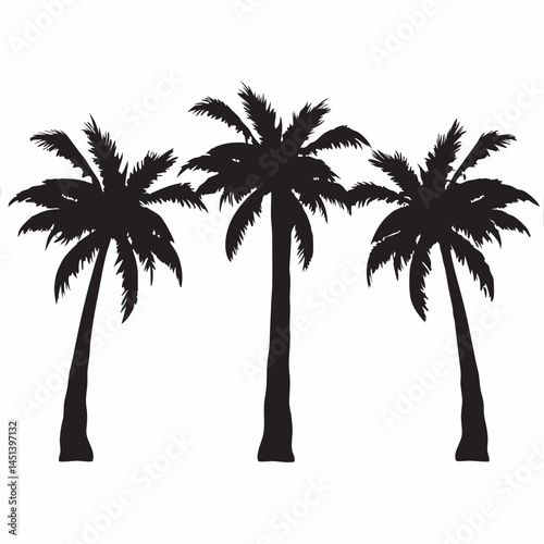 palm tree silhouette