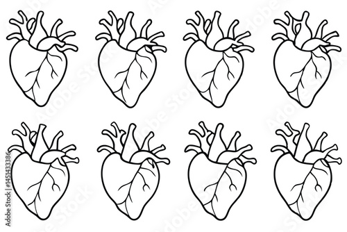 Coronary arteries cardiac system Line art
