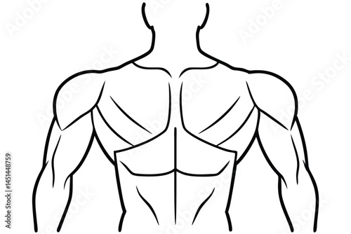 Deltoid Stretch Diagram Line art