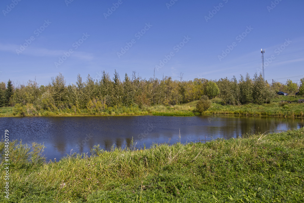 Fototapeta premium Pylypow Wetlands in the Summer