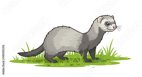 A Charming Cartoon Ferret Stands Alert On A Patch Of Vibrant Green Grass Its Soft Grey And Charcoal Fur Depicted In A Clean Vector Style Evoking A Sense Of Playful Curiosity And Natural Whimsy