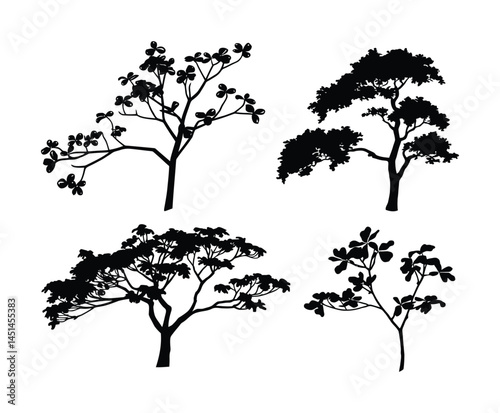 Dogwood Tree Silhouette Vector Collection on White Background