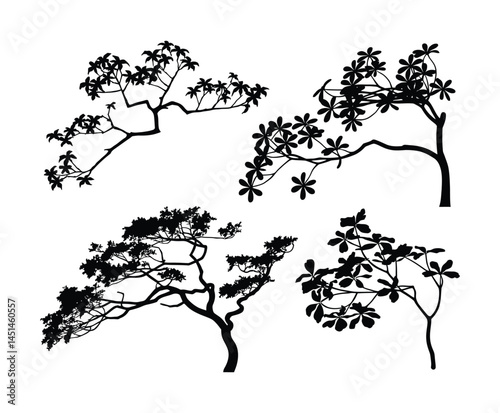 Minimal Dogwood Tree Silhouette Isolated Template Set
