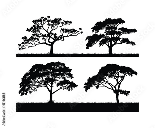 Simple Dogwood Tree Silhouette Isolated Vector Template