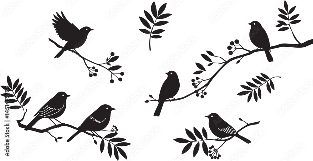 Fototapeta premium Bird Silhouettes Editable Vector isolated on transparent background. Black bird on branch vector set png. Customizable bird graphics.