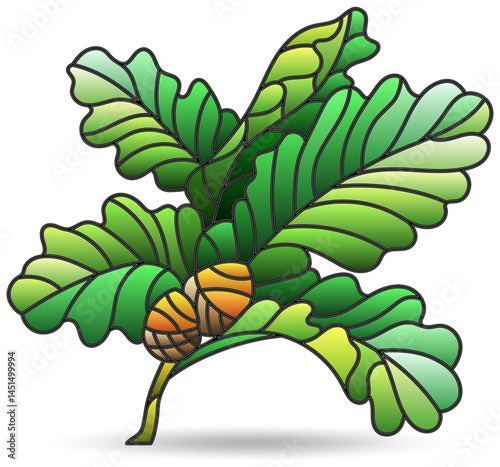 Stained glass illustration with oak branche , isolated elements on a white background
