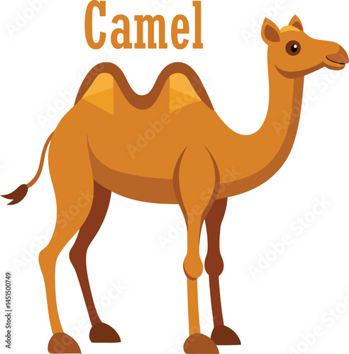 camel in the desert