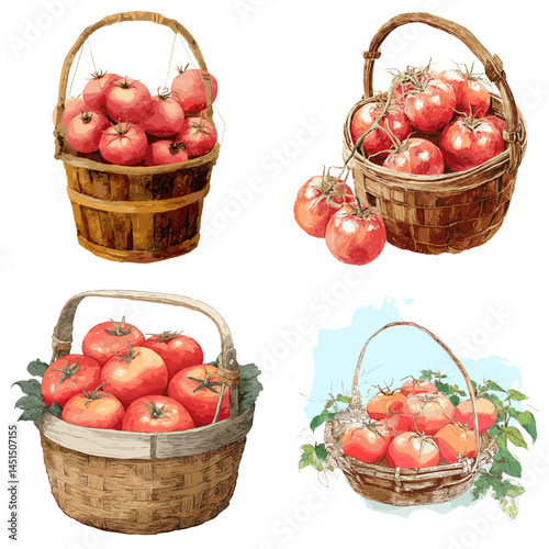 Rustic baskets filled with fresh red tomatoes in a charming watercolor style, ideal for farm produce, garden harvest, or organic food designs.

