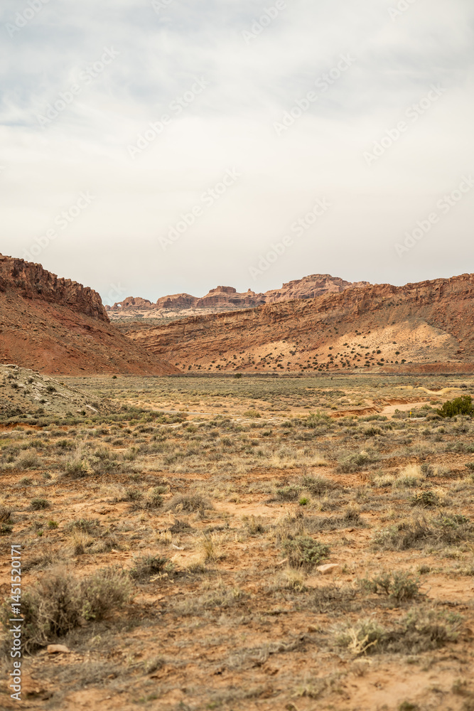 A wide desert valley in the American Southwest with sparse vegetation and dramatic red cliffs under a hazy sky A wide desert valley in the American Southwest with sparse vegetation and dramatic red cliffs under a hazy sky
