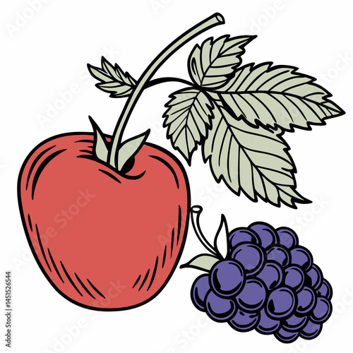 vector illustration of ripe berries