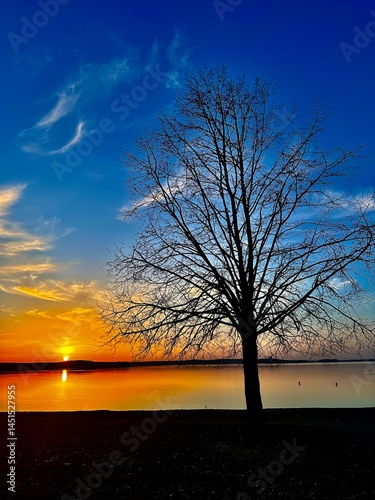 Konstfotografi A lone bare tree stands silhouetted against a vibrant sunset reflecting warmly across a calm, mirrorlike lake