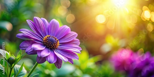 Purple Flower Garden Photography: Stunning Images, Rule of Thirds Composition