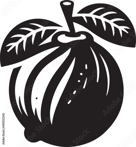 A Guava Fruit Vector Art Illustration EPS File
