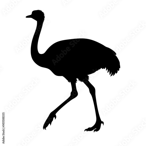 Ostrich standing silhouette, pet and farm bird, black vector art.