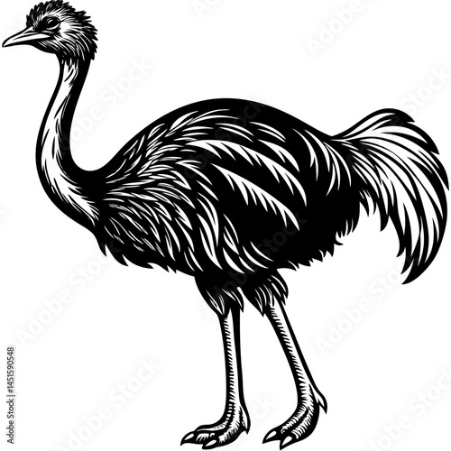 Flat ostrich bird icon, animal black silhouette vector art.