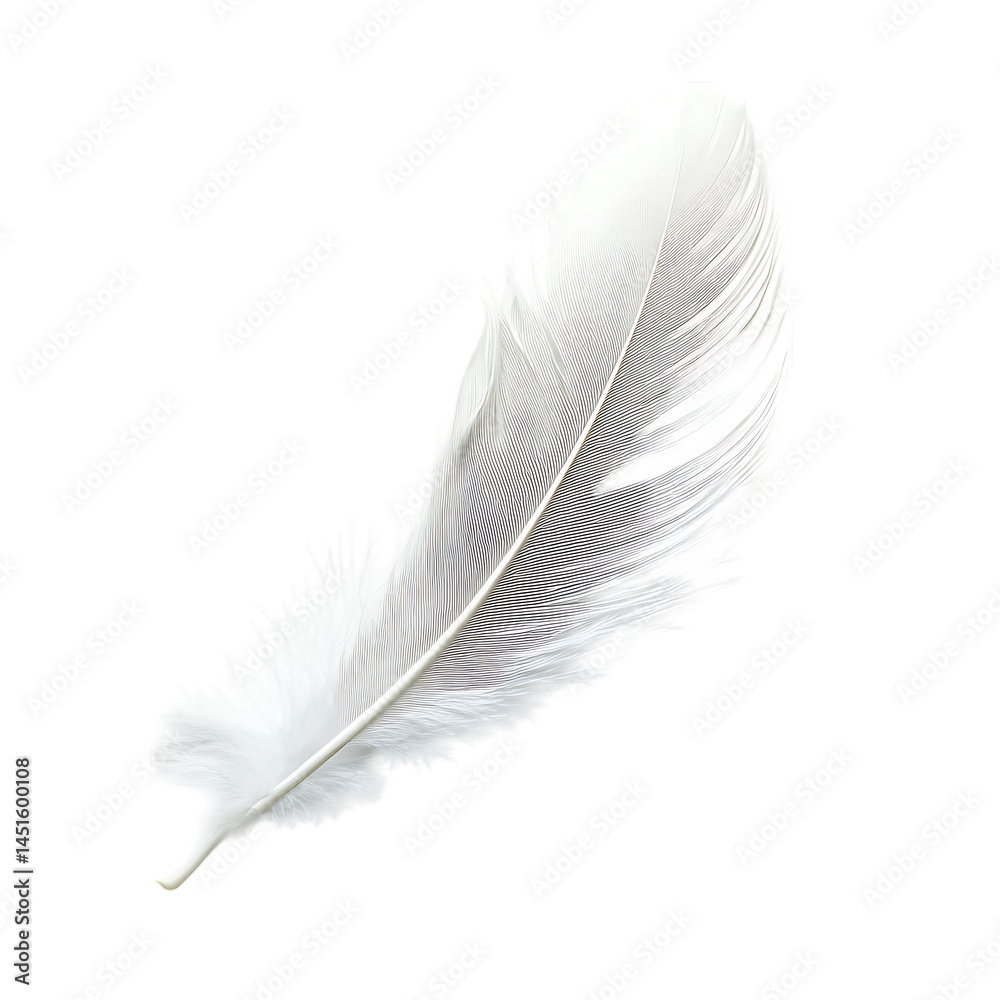 Obraz premium White feather png