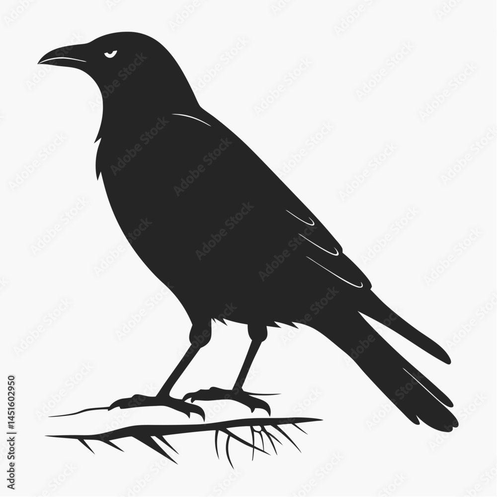 Fototapeta premium Black Bird Silhouette