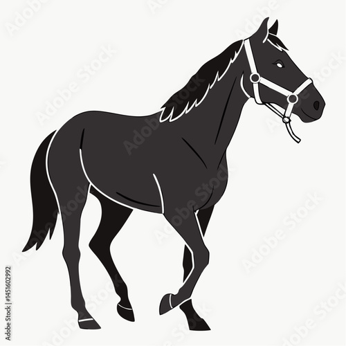 Black horse silhouette