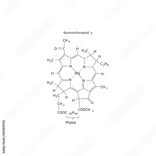 Bacteriochlorophyll a Molecular Structure – Chemical Diagram of Photosynthetic Pigment with Porphyrin Ring and Phytol Tail, Labeled Organic Chemistry Illustration