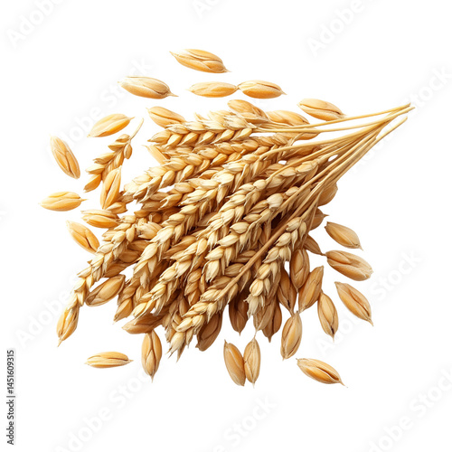 Golden Wheat Ears, Grains, Harvest, Agriculture, Cereal, Farming, Nature, Food, Isolated, Background
