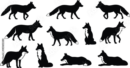 Fox Silhouettes Editable Vector isolated on transparent background. Black fox vector set png