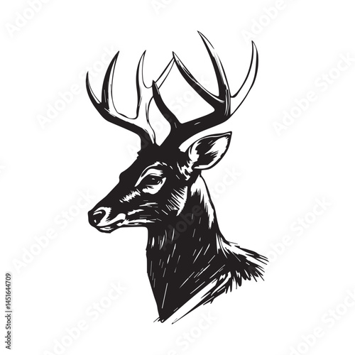 A black and white silhouette vector art of a deer?s head in profile.eps photo