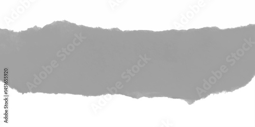 Torn Paper Textures High-Resolution Ripped Paper Overlays. Vector illustrator