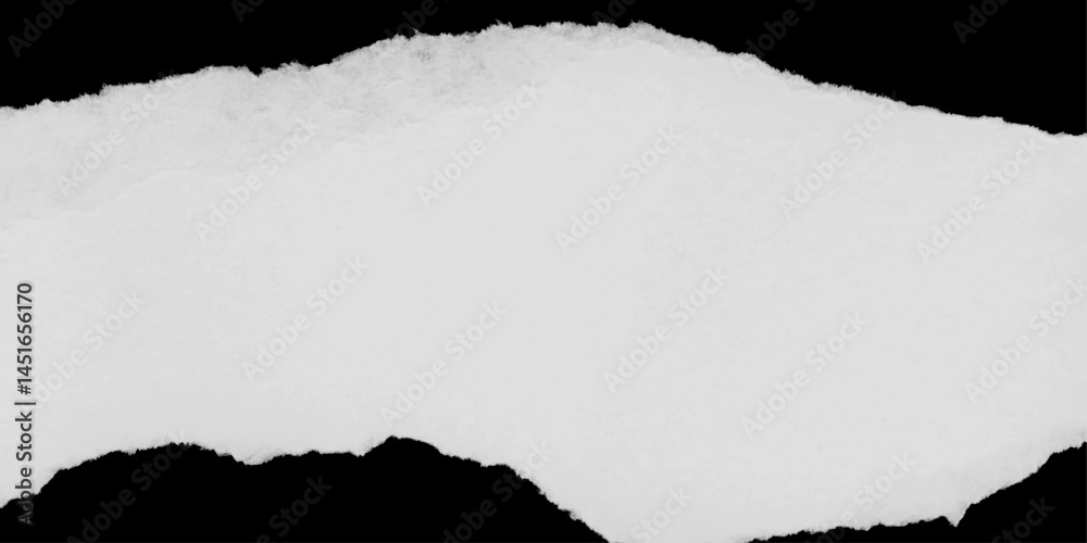 Fototapeta premium Torn Paper Textures High-Resolution Ripped Paper Overlays. Vector illustrator