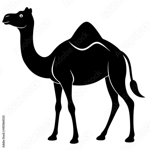 camel on the beach