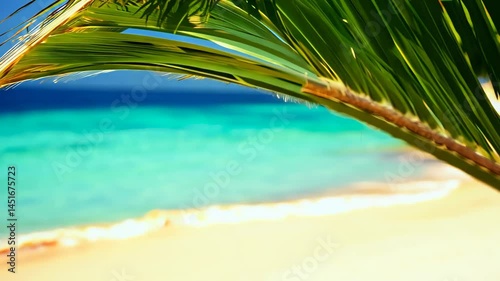 Palm Branch Against Clear Sea Water: A Tropical Beach Wallpaper
