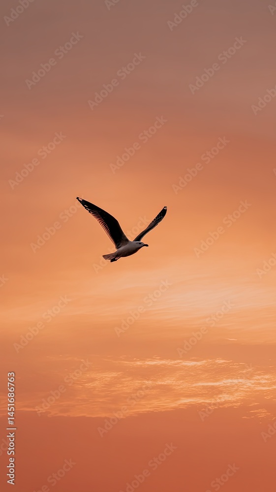 Fototapeta premium Seagull Flying Against Orange Sunset Sky, Silhouette of a seagull soaring through a vivid orange sky at sunset, symbolizing freedom, peace, and nature's beauty.