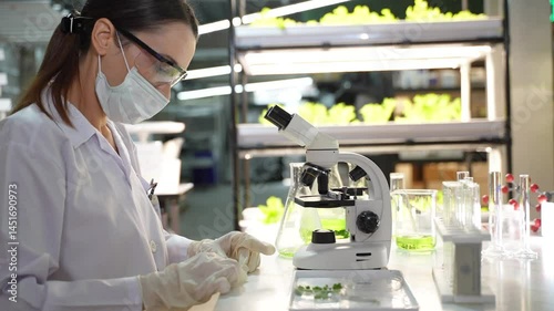 Female researcher injecting liquid to test tube while observing microgreens under lab microscope