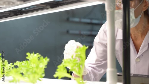 Scientist in protective gear testing hydroponic solution with microscope in indoor smart farming lab