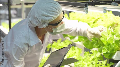 Scientist in protective gear testing hydroponic solution with microscope in indoor smart farming lab