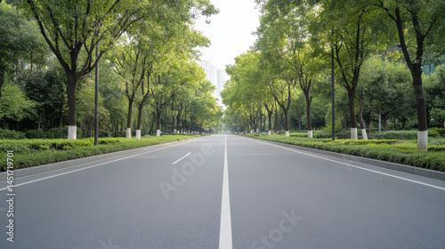 Serene treelined urban street with lush greenery and smooth pavement invites peaceful strolls