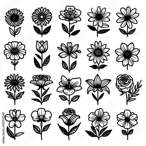 Collection of hand-drawn floral illustrations