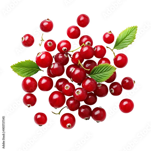  red currant png. cranberries Vaccinium oxycoccus fruits, top view isolated png. cranberries png. food. fruit. organic. fresh