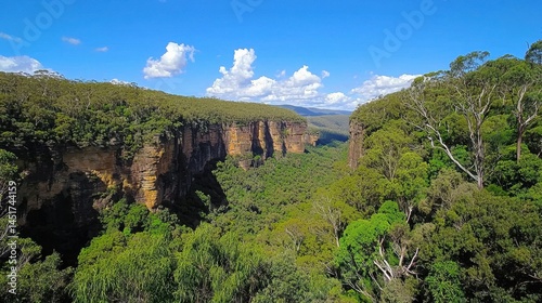 Obraz na płótnie Lush canyon ecosystems of Australia with stunning biodiversity and grand geological features w salonie