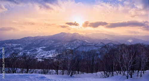 Panorama view of Moiwa mountain view point for sunset skyline forest.