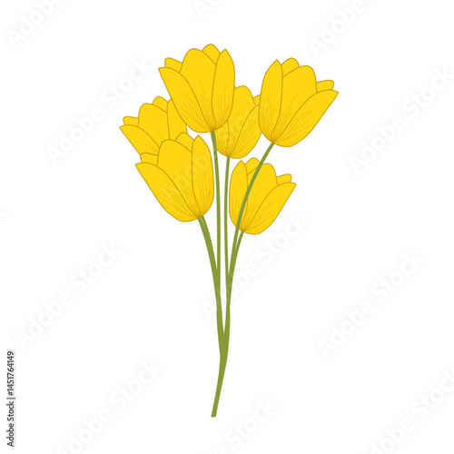 Yellow tulip flower illustration. Blooming flower illustration. Flower illustration set. Tulip flower flat design 

