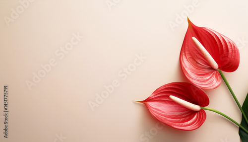 Tropical plant, Anthurium flower background Generated image