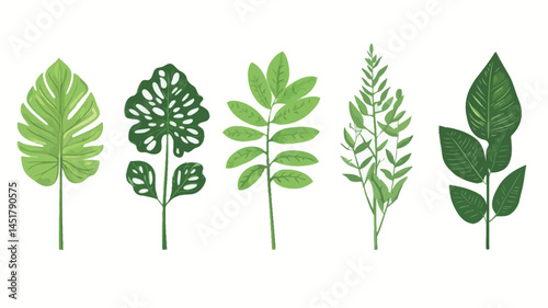 digital illustration shows five differently styled green leaves arranged horizontally against a pure white background. Each leaf displays a unique form and level of detail.