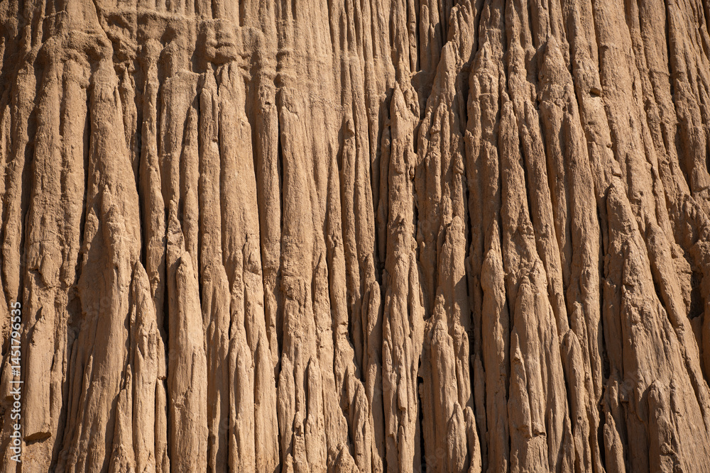 Fototapeta premium THAILAND NAN SAO DIN NA NOI NATIONALPARK